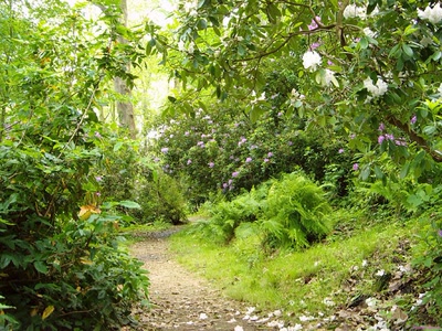 Fond d'écran Nature