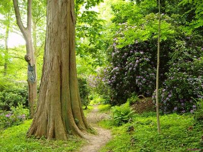 Fond d'écran Nature