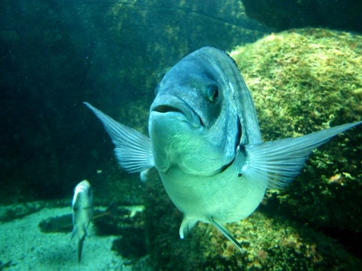 Je vous souhaite la bienvenue !