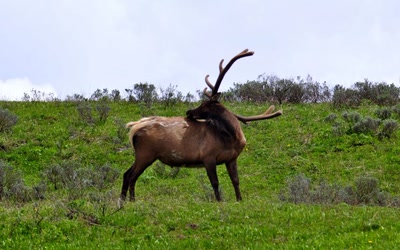 Toilettage avant la pause !