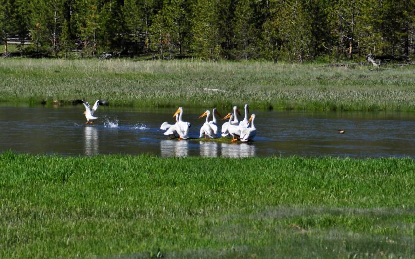 Allez, je décolle...