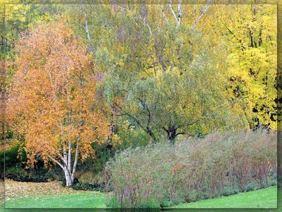 Hommage à Claude Monet