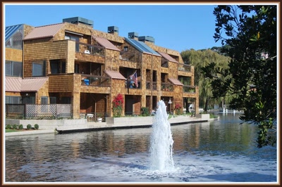 Tiburon (Californie)