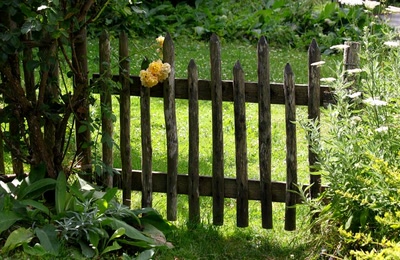 Portes (195) : Dans le Périgord à Montignac (172)