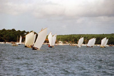 Pinasses à voile