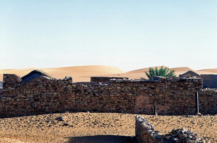 Sur les traces de Théodore Monod