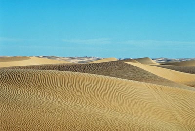 Sur les traces de Théodore Monod