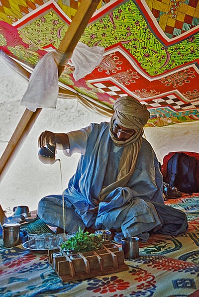 Sur les traces de Théodore Monod