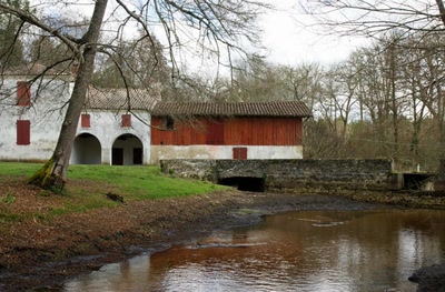 Sur les pas de François Mauriac