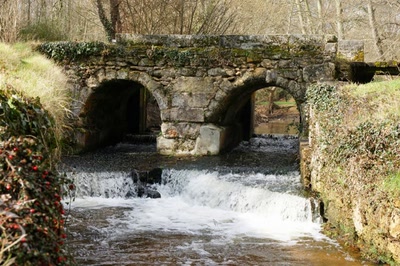 Sur les pas de François Mauriac