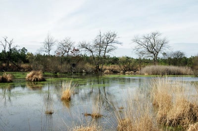 Sur les pas de François Mauriac