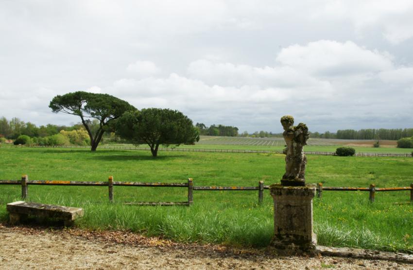 Châteaux de vin en Médoc