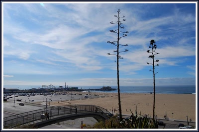 Los Angeles - Californie - Plage de Santa Monica