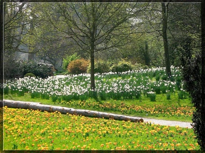 Printemps à Bagatelle