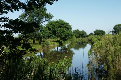 En longeant la Leyre