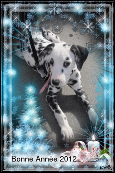 Bonne Année 2012
