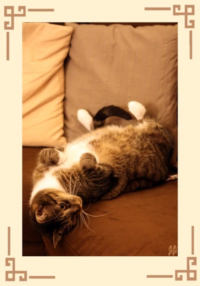 Un "MYSTY" renversant !!!