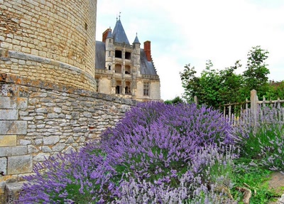 Le Château de Châteaudun.