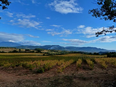 Le Mt Ventoux et les dentelles de Montmirail 