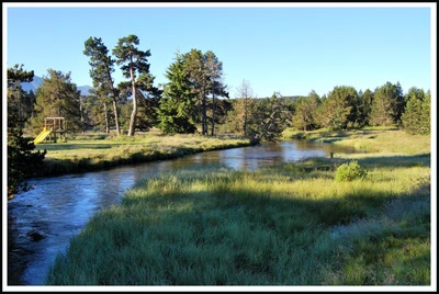 La Têt prés des Bouillouses (66)