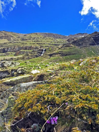 Dormillouse Haute Vallée de Freissinières Parc Nat