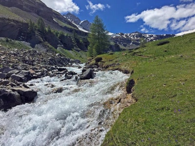 Torrent de Montagne dans la Vallée de Freissinière