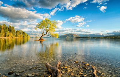 Lac